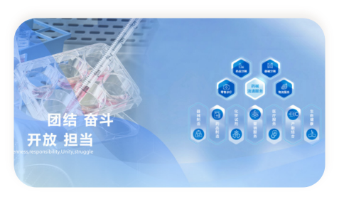 至成国际官网-追求健康,你我一路成长