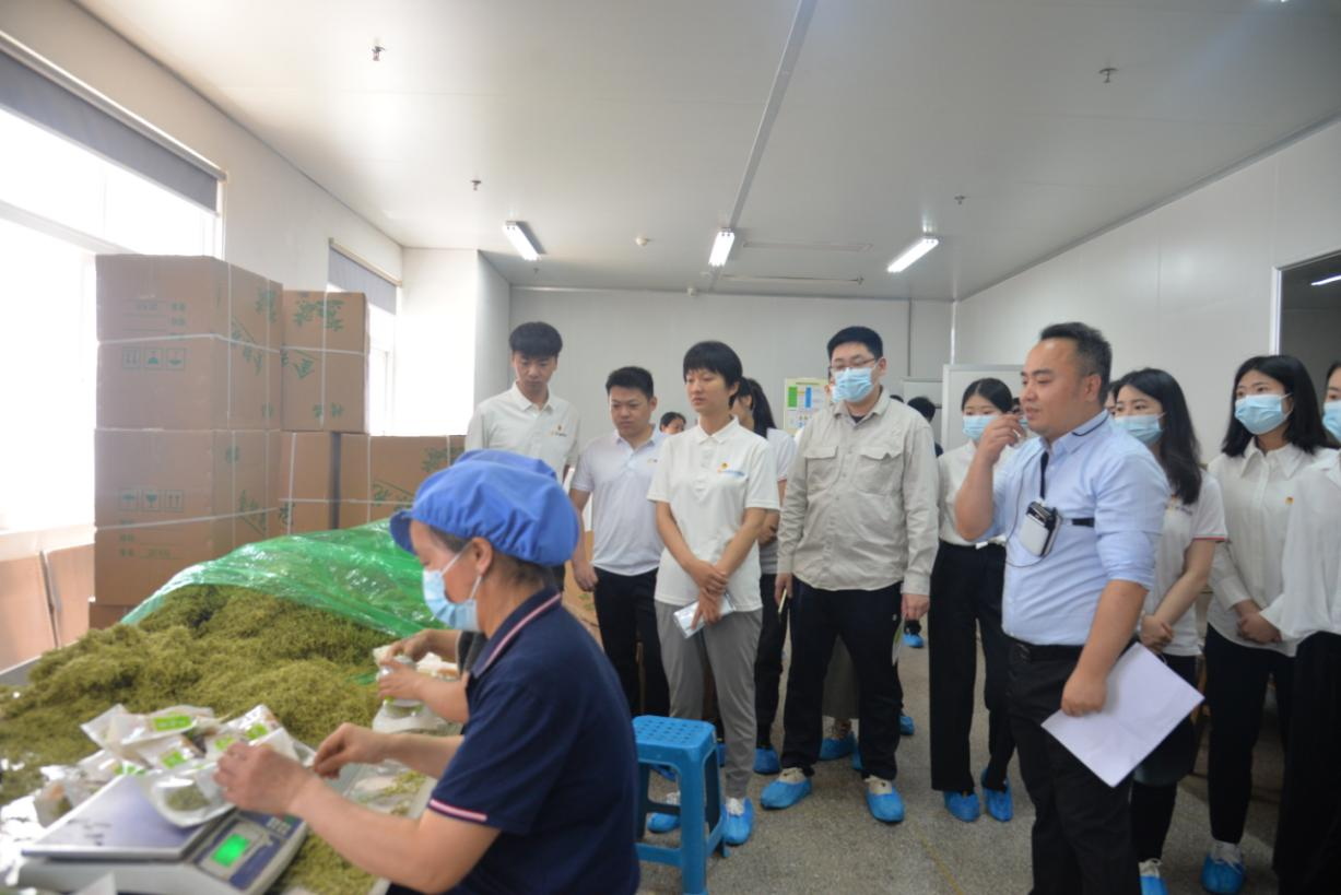 至成国际官网-追求健康,你我一路成长