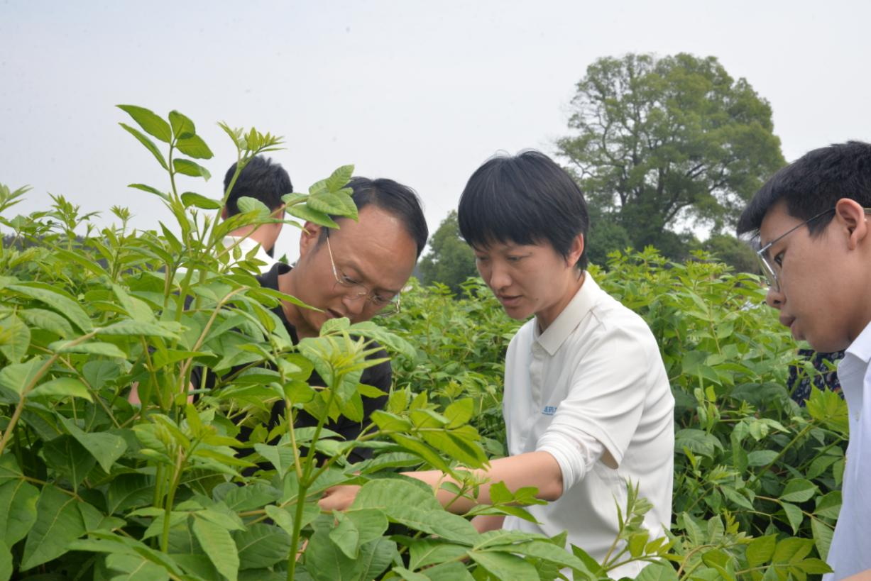至成国际官网-追求健康,你我一路成长